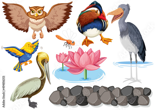 Different kinds of wild animals collection