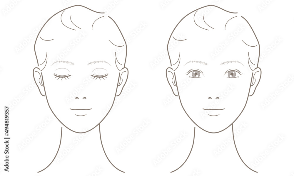 Young woman's face in line drawing. Eyes open and closed. For explanation of beauty, fashion, makeup, skincare. Vector illustration isolated on white background. Young woman's face in line drawing. Eyes open and closed. For explanation of beauty, fashion, makeup, skincare. Vector illustration isolated on white background.