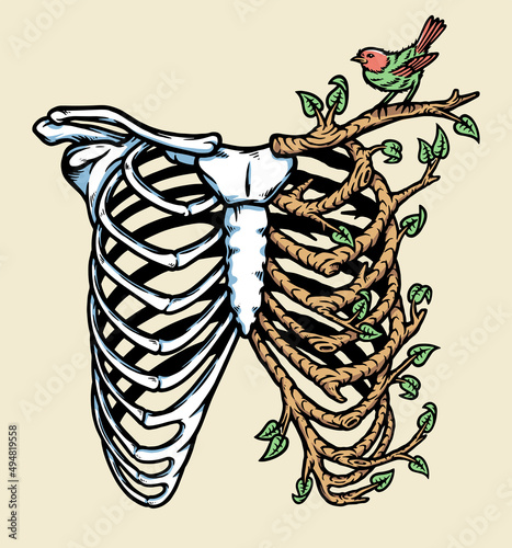 natural human bones illustration
