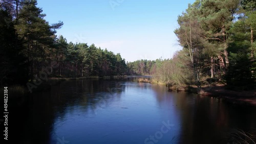 Cinematic aerial drone footage flying backwards over a frozen loch into a forest plantation of native Scots pine (Pinus sylvestris) and birch trees in Scotland with clear blue skies in winter photo