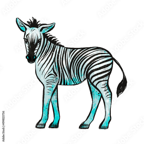 Illustration in sketch style with zebra African animal