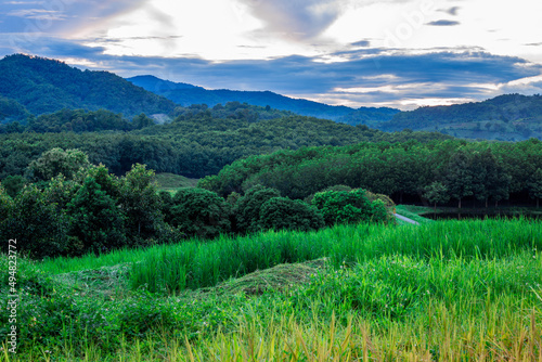 panoramic background of high mountain scenery, overlooking the atmosphere of the sea, trees and wind blowing in a cool blur, spontaneous beauty