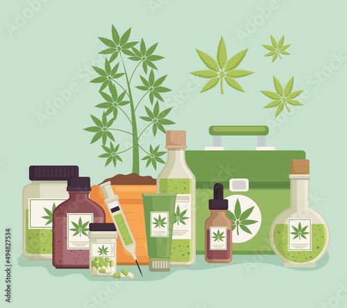 medical cannabis plant