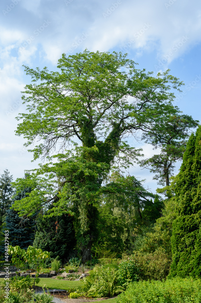 Obraz premium Oslo, Norway