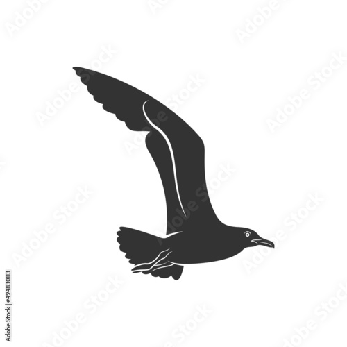 Silhouette Camar bird icon vector illustration design photo