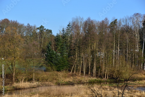 Landschaft im Winter am Fluss Böhme in der Stadt Walsrode, Niedersachsen