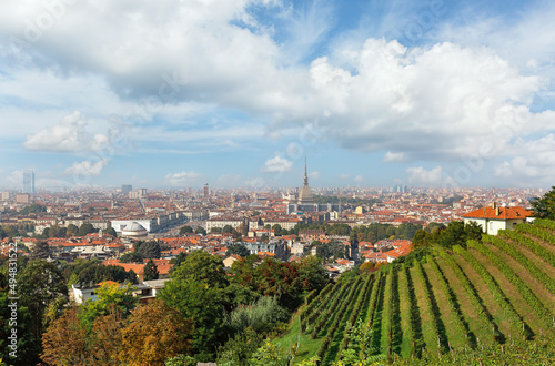 view of Turin from Villa della Regina