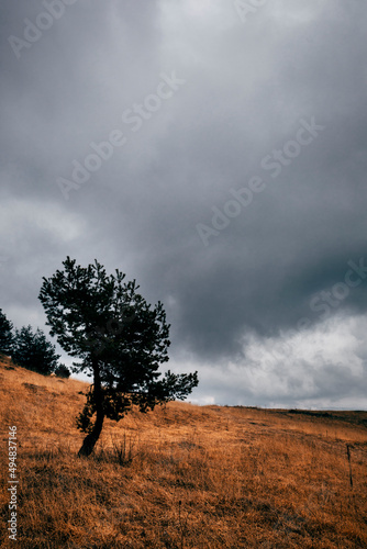 Fototapeta Naklejka Na Ścianę i Meble -  storm clouds in the mountains