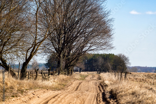 Fototapeta Naklejka Na Ścianę i Meble -  Wiosna w Dolinie Narwi, Podlasie, Polska