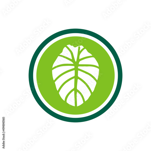Elephant ear plant logo icon, alocasia leaf symbol