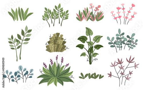 Plant and leaf vector collection in doodle style It can be adapted to a wide range of applications such as decorative cards, digital prints, home decorations, patterned paper, postcards, pillow 