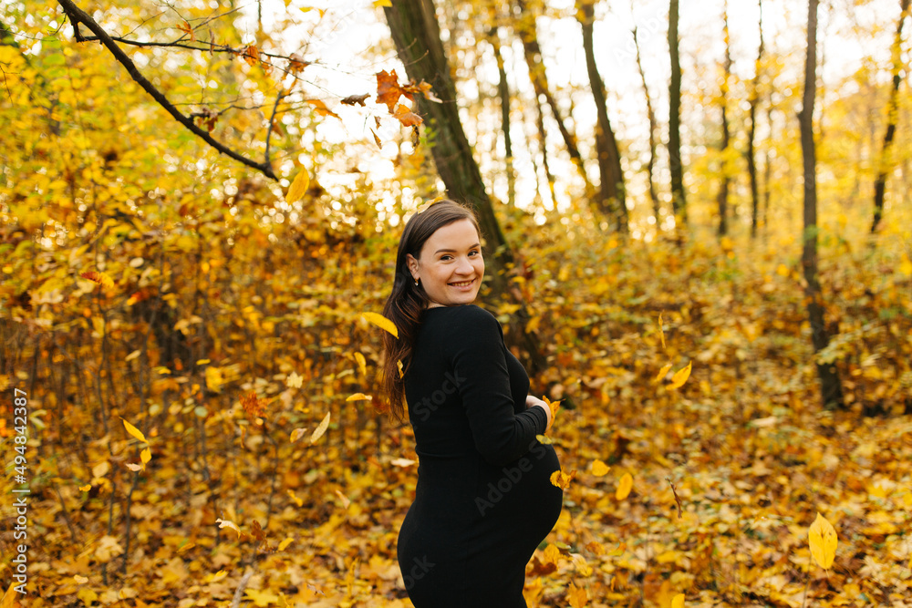 Beautiful pregnant woman in a black dress in the autumn park. Golden autumn. Fallen leaves. Awaiting the birth of a child. Beautiful pregnant woman in a black dress in the autumn park. Golden autumn. Fallen leaves. Awaiting the birth of a child.