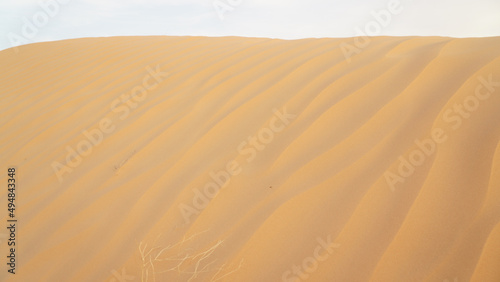 Yellow sand in the Sahara Desert at Douz in Tunisia. © Christopher