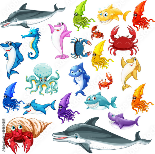 Different types of sea animals
