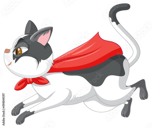 A cat superhero on white background