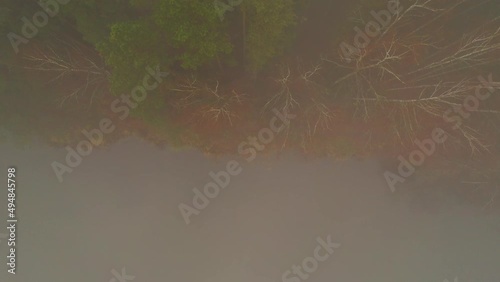 Very thick fog in a coniferous forest with a lake. Top view