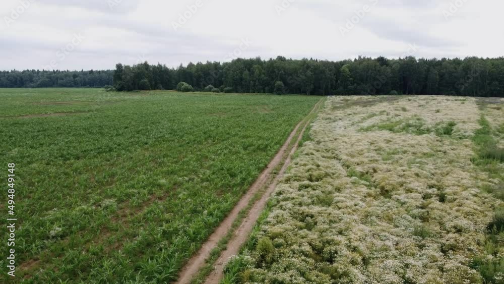Gravel road divides a green field and a white field in half. Top view Gravel road divides a green field and a white field in half. Top view
