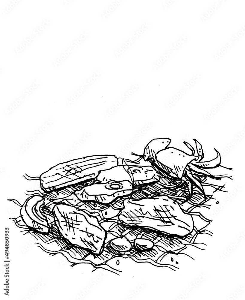 Barbecue grill over charcoal meats squide and vegetable hot food hand black and white line drawing illustration Barbecue grill over charcoal meats squide and vegetable hot food hand black and white line drawing illustration