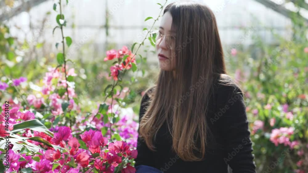 南国植物園にいる眼鏡をかけたクールな女性 南国植物園にいる眼鏡をかけたクールな女性
