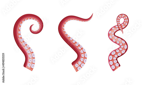 Octopus tentacles with suckers set cartoon vector illustration