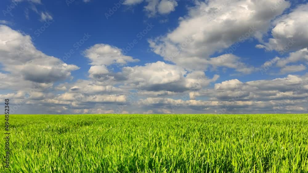 green rural field under cloudy sky time lapse scene green rural field under cloudy sky time lapse scene