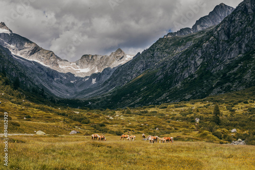 landscape in the mountains