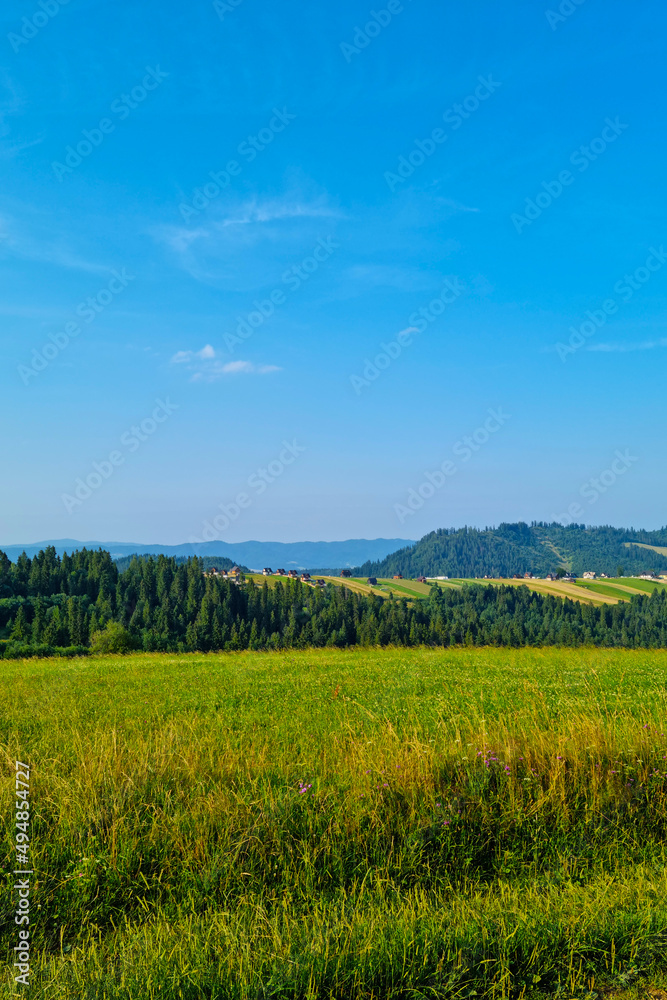 A picturesque view of a green field in a mountainous area in summer.