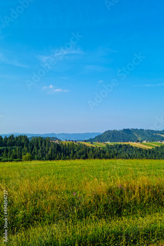 Fototapeta Naklejka Na Ścianę i Meble -  A picturesque view of a green field in a mountainous area in summer.