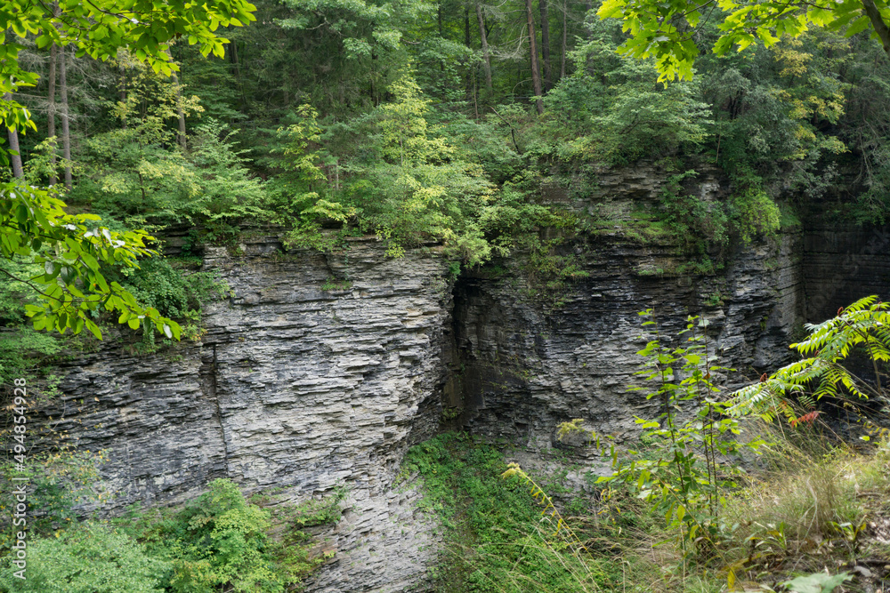 Obraz premium Woodlands and gorge scenery