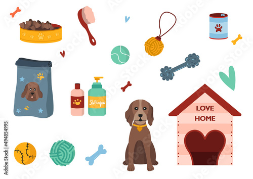 Dog and dogs supplies and equipment. Food, toys, home