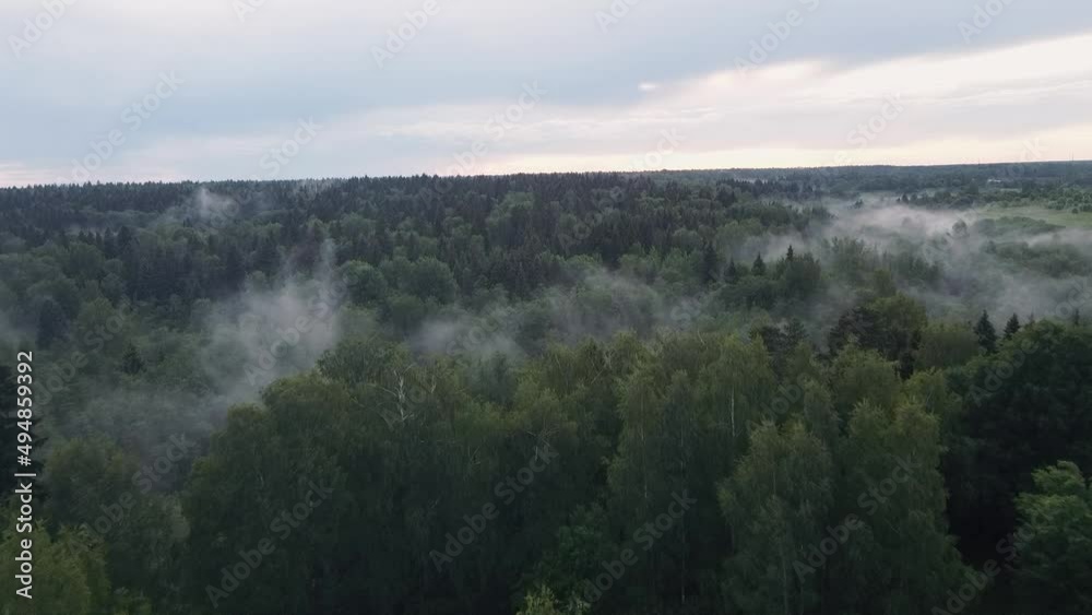 Beautiful sunset over a mixed forest. Thick fog covers the forest.Top view from a drone Beautiful sunset over a mixed forest. Thick fog covers the forest.Top view from a drone