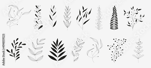 Set of black silhouettes of tropical leaves on an isolated white background. Botanical tree branches, palm leaf on the stem. Spring summer leaf. Concept design logo icons. Vector illustration.