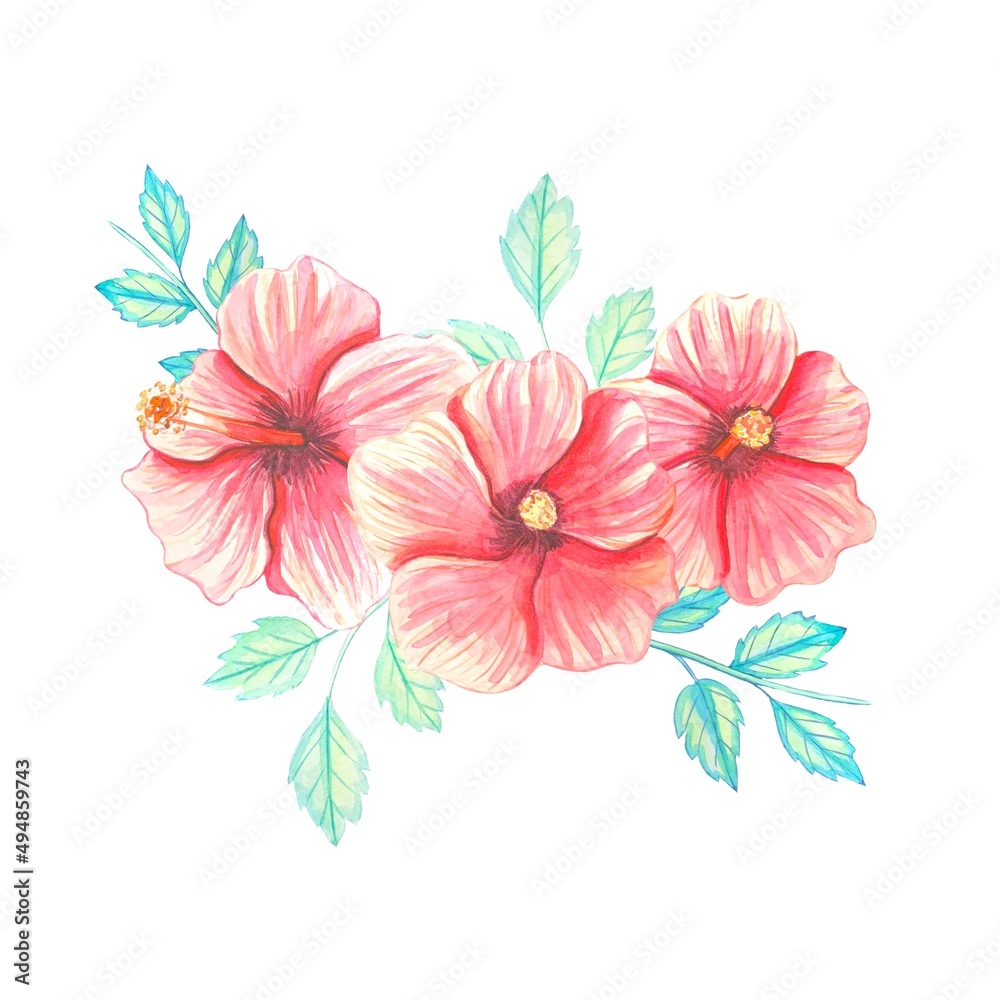 A bouquet of hibiscus . Watercolor illustration A bouquet of hibiscus . Watercolor illustration