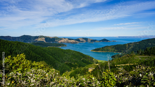 Beautiful landscape at Picton, New Zealand photo