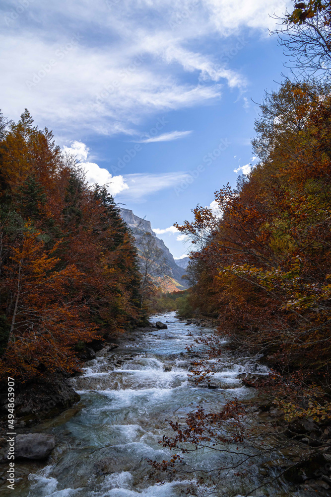 Mountain river with autumn colors painted trees on the sides.