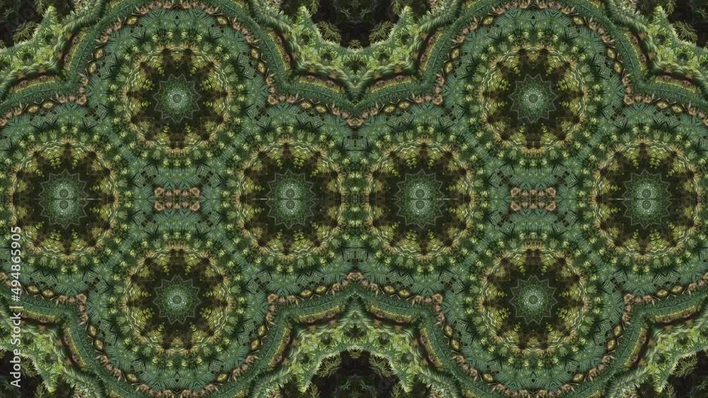 Symmetry kaleidoscopic abstract animation of green palm pattern Symmetry kaleidoscopic abstract animation of green palm pattern