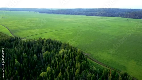 Aerial view of rural landscape with green field with road and forest