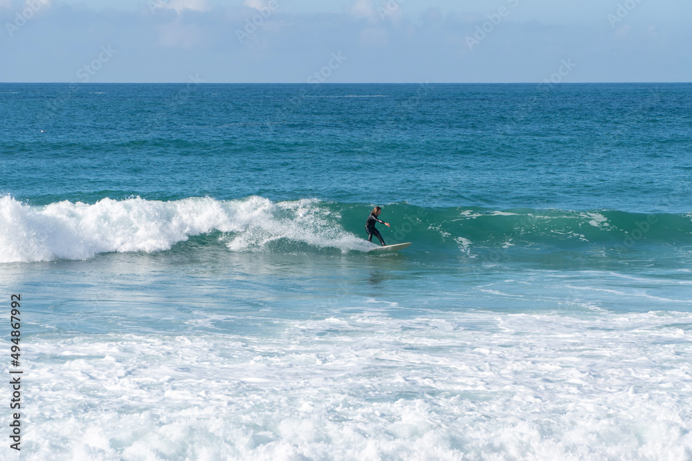 surfing the wave surfing the wave