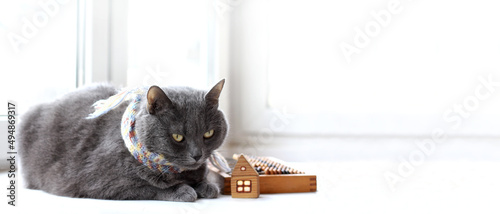 large gray cat dressed in a knitted scarf sits by the window against the background of a small blurred silhouette of a model of an individual house and an old calculating device. savings in home heati photo