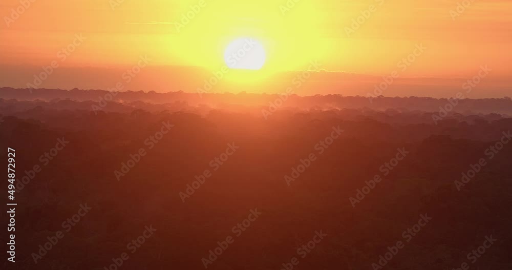 Tracking shot at sunset over rainforest in Tambopata National Reserve, Peru.