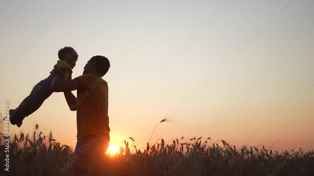 father and son. happy family baby a kid dream concept father throws his son into the air silhouette in the wheat field at sunset. happy fun family dad plays with his baby son in nature at sunset