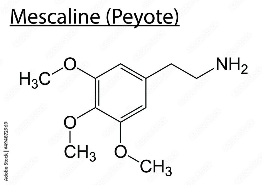 Chemical structure of Mescaline (Peyote) on a white background. - obrazy, fototapety, plakaty 