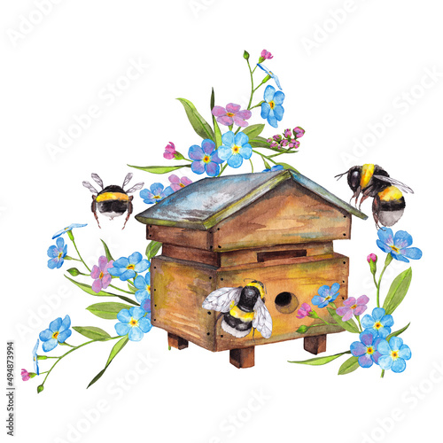 Bees on beehive in forget-me-not flowers. Summer garden illustration. Hand painted watercolor element isolated on white background.