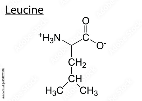 Chemical formula of Leucine photo