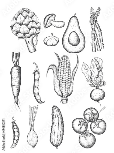 Set of hand drawn vegetables. Corn, peas, beans, beets, radishes ,mushrooms, artichoke ,avocado,tomato, garlic and onion.