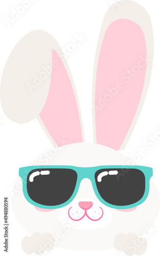 Easter Bunny Face with sunglasses