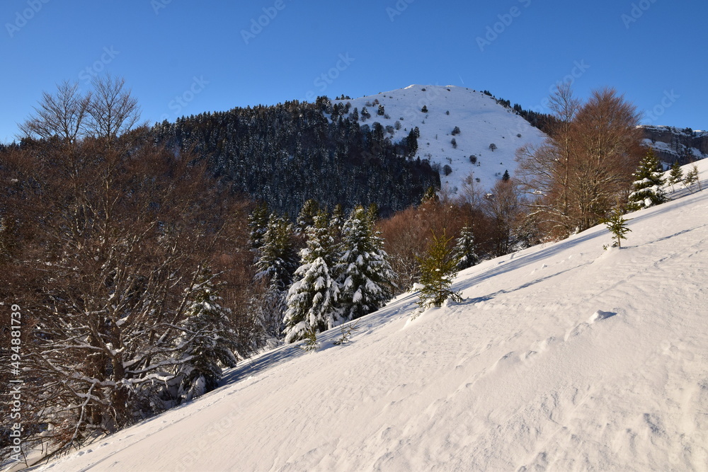 Obraz premium Le Pravouta (alt 1760 m), vu depuis la crête des Ayes