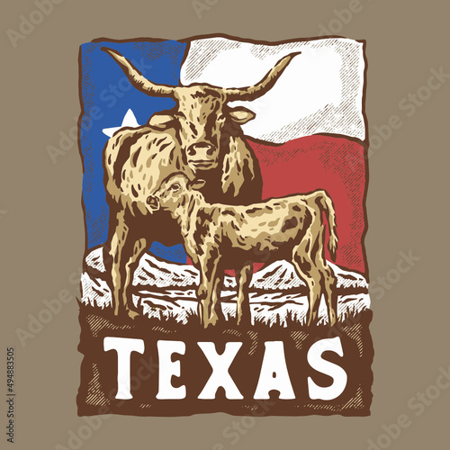 Texas bull illustration