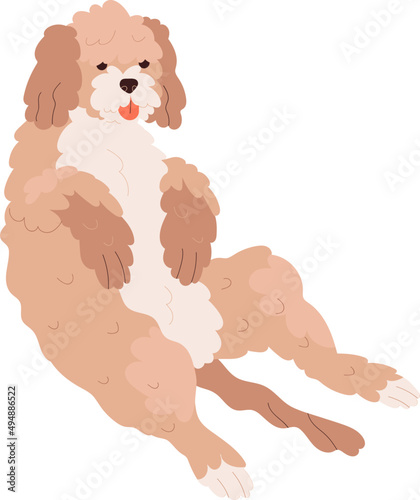 Photography Funny Goldendoodle Dog Cartoon Illustration