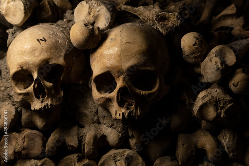 Obraz na plátně Closeup of human skulls and Bones